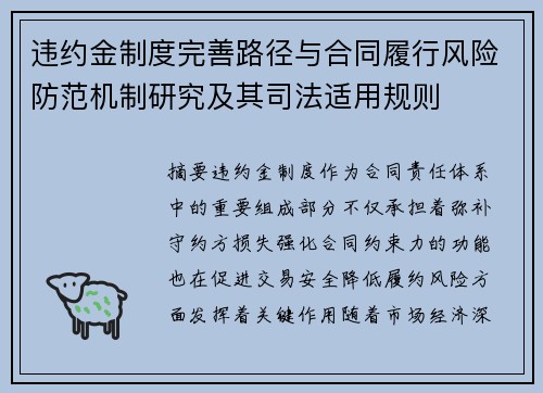 违约金制度完善路径与合同履行风险防范机制研究及其司法适用规则